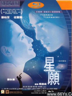 都市情感剧《白露为霜》封面